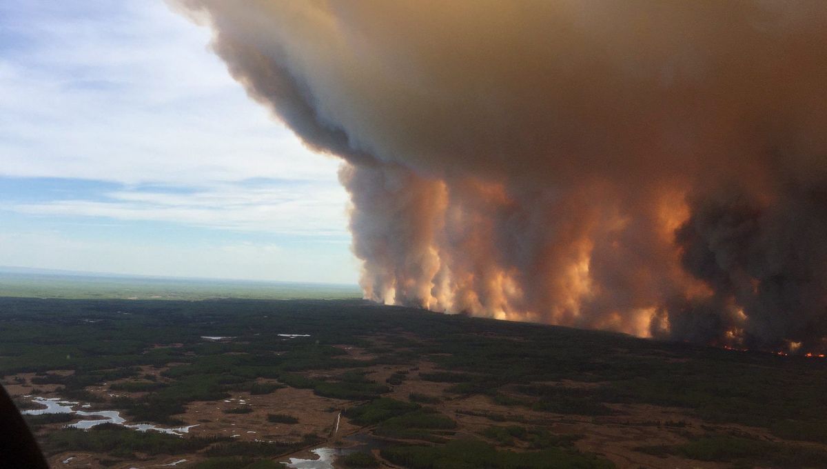 Incendies au Canada : les images des feux de forêt "sans précédent" qui ravagent l'Alberta