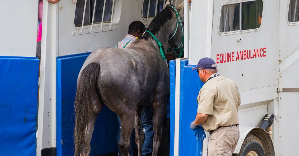 At Churchill Downs, Humans Failed the Horses Again