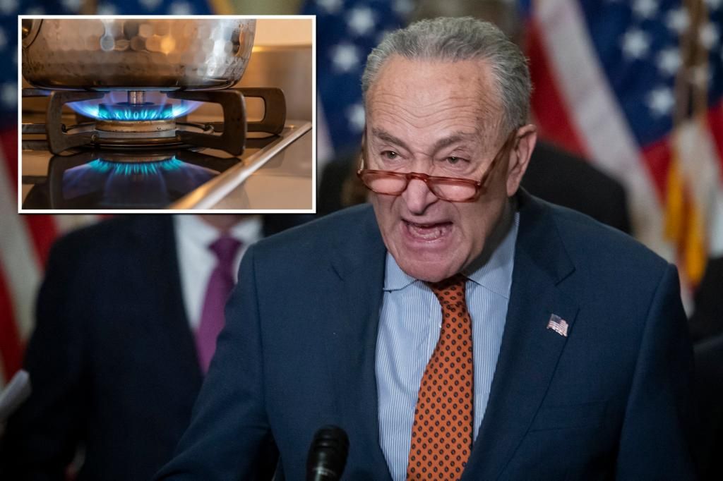 Democrats voted in 2021 against prohibiting gas stove bans