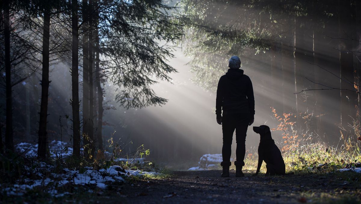 La vie avec un chien