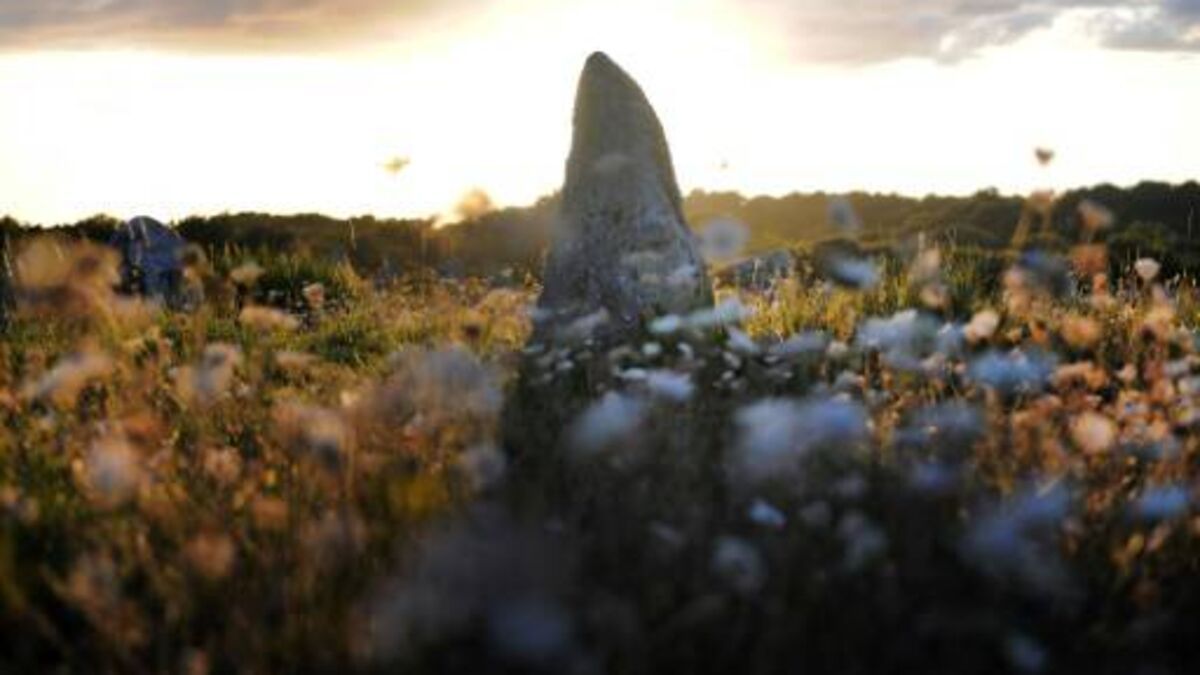 Polémique à Carnac après la construction d’un Mr Bricolage sur un site de menhirs