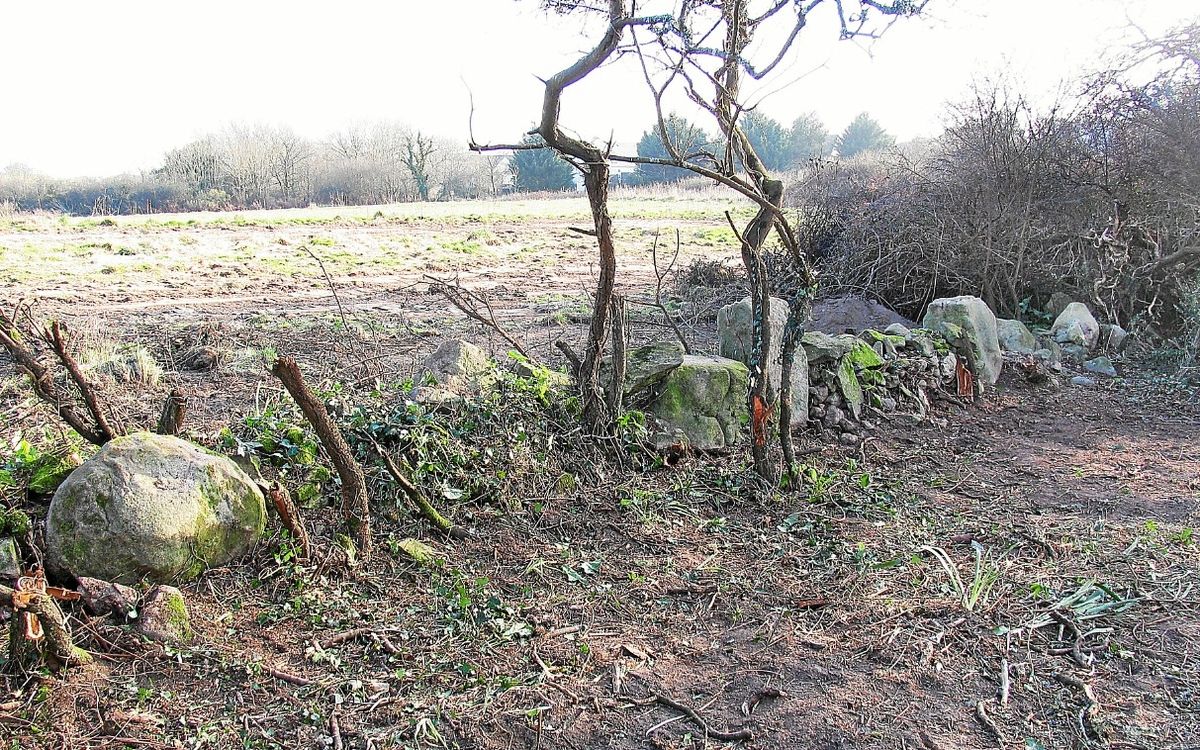 À Carnac, 37 menhirs détruits pour un Mr Bricolage