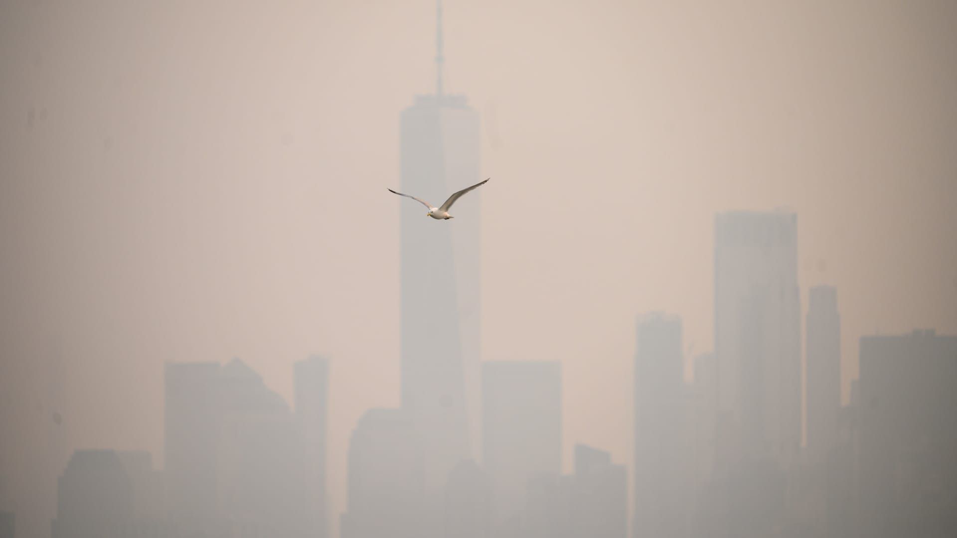 FAA halts flights to New York's LaGuardia amid Canada wildfire smoke