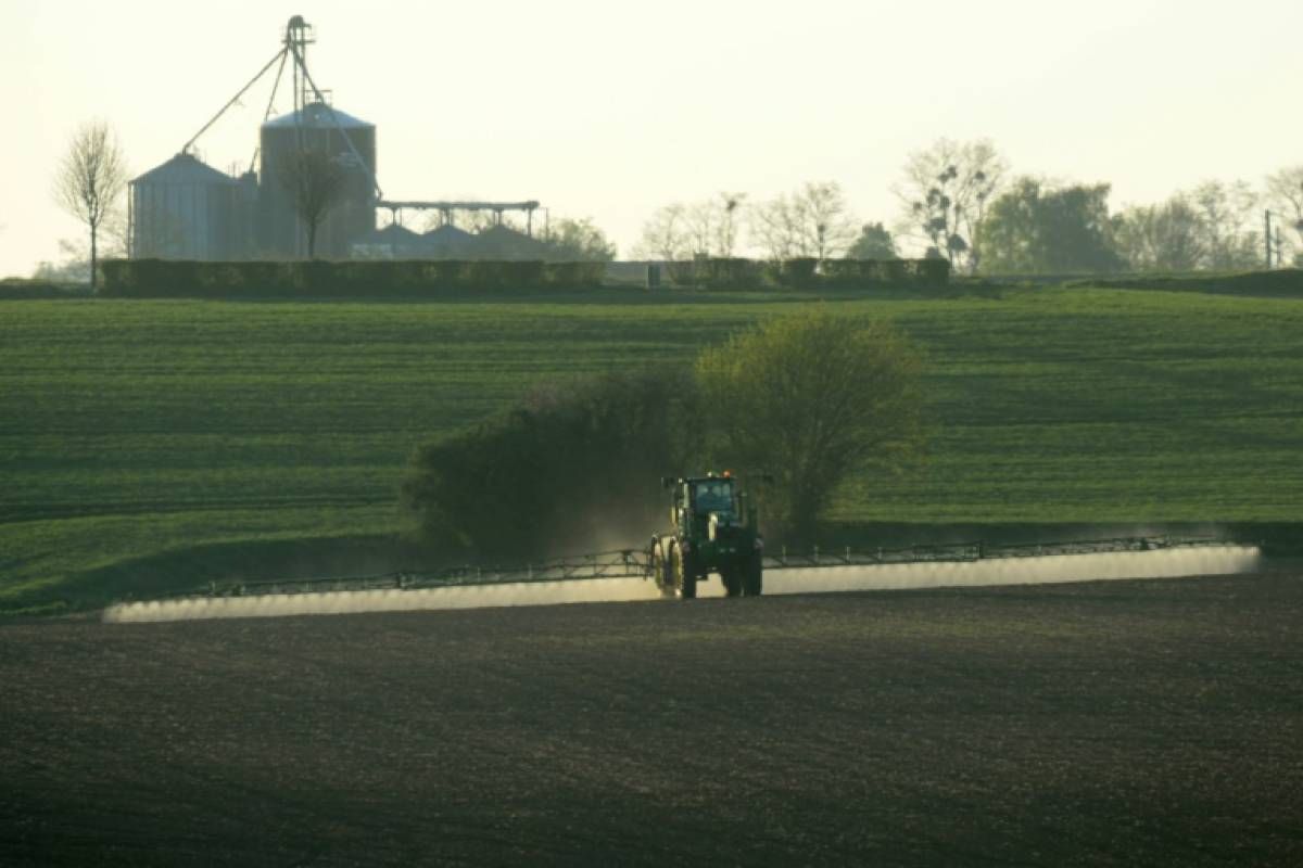 Glyphosate: un rapport ouvre la voie au renouvellement de l'autorisation dans l'UE