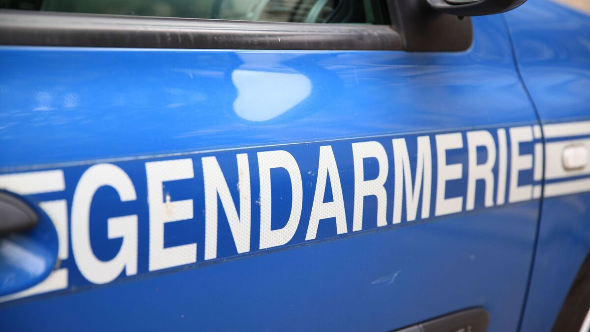 Vaucluse : un homme blessé par des gendarmes après les avoir menacés