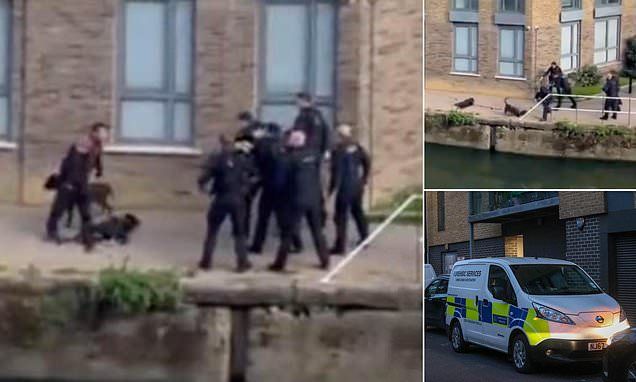 Shocking footage shows moment Met Police shoot and kill two dogs after woman mauled in attack