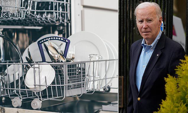 Now Biden is going after your DISHWASHERS: new rules to fight climate change