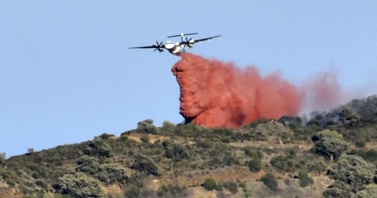 Pyrénées-Orientales : l'incendie qui a brûlé 30 hectares est fixé