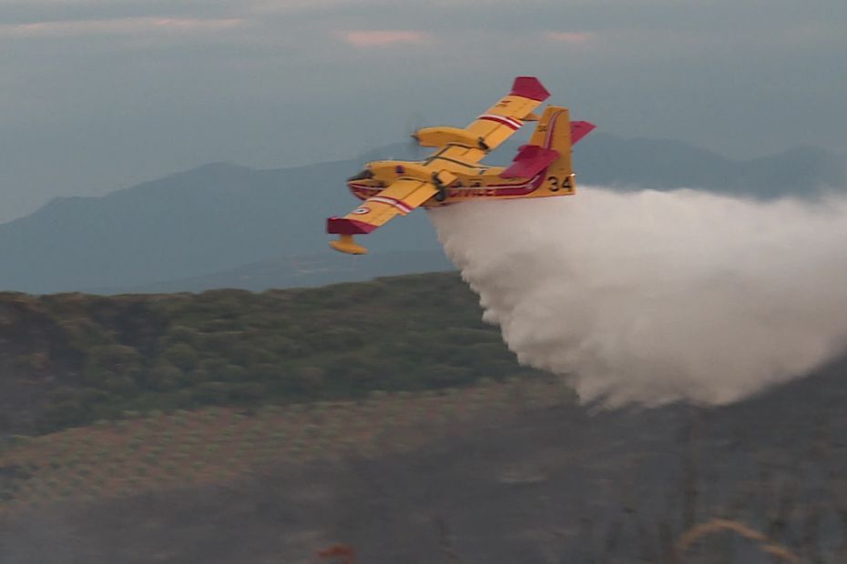 Incendie dans les Pyrénées-Orientales : le feu est maitrisé à Argelès-sur-Mer, 30 hectares ravagés