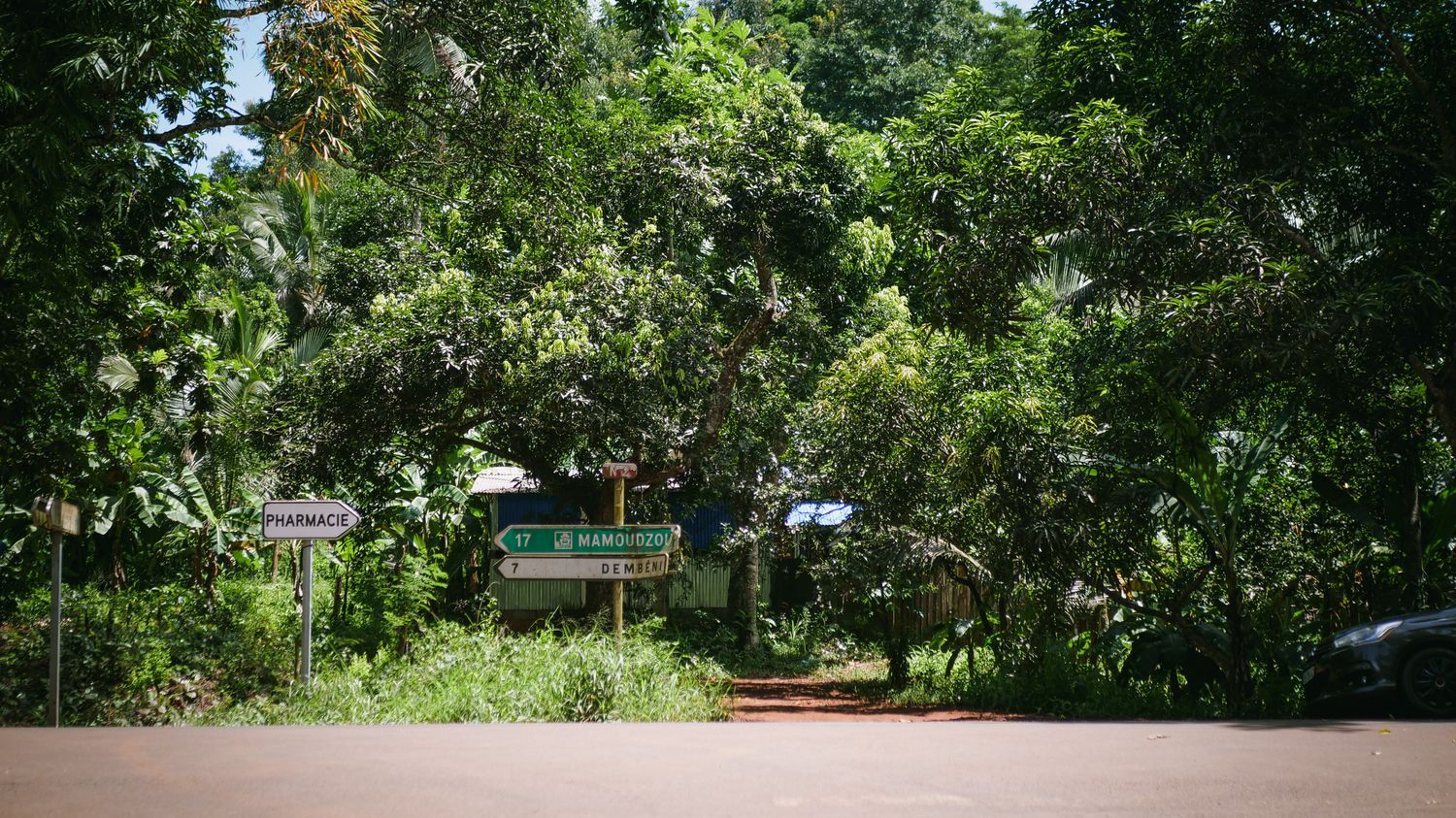 Mayotte : un enfant de 3 ans meurt du choléra, premier décès depuis l'apparition de cas en mars sur le territoire