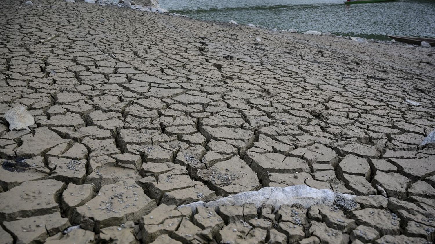 Climat : le phénomène météo El Niño commence et promet de nouveaux records de températures