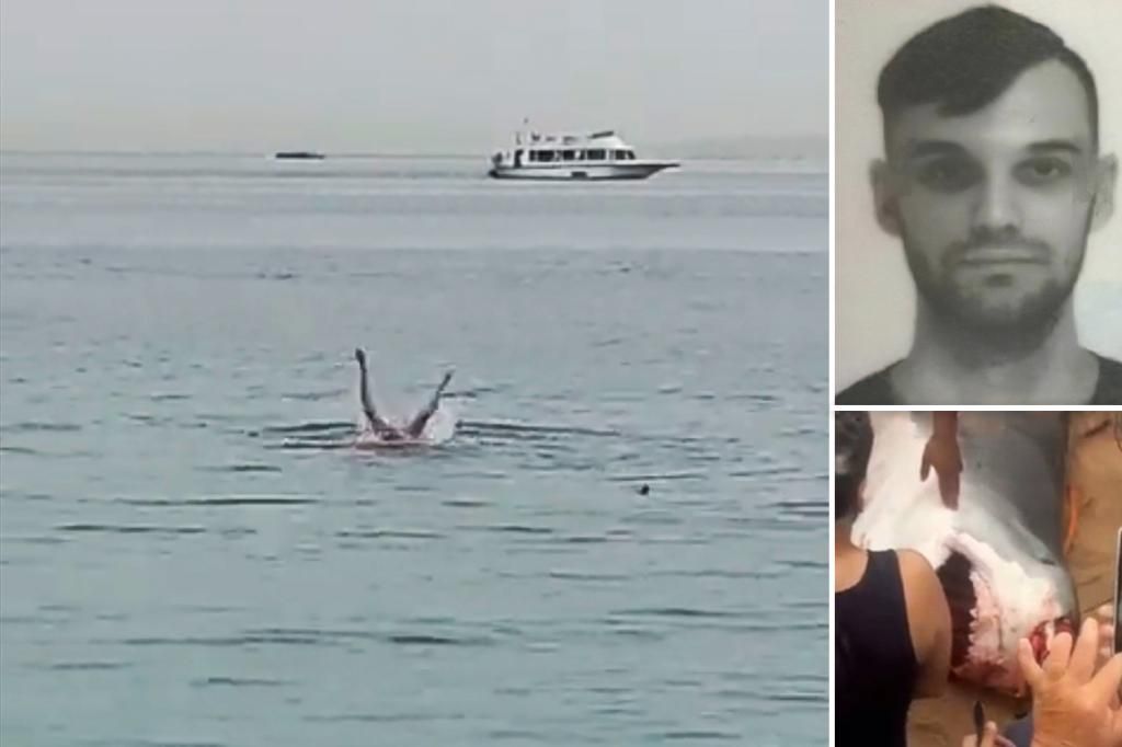 Russian man killed in shark attack on Egypt beach