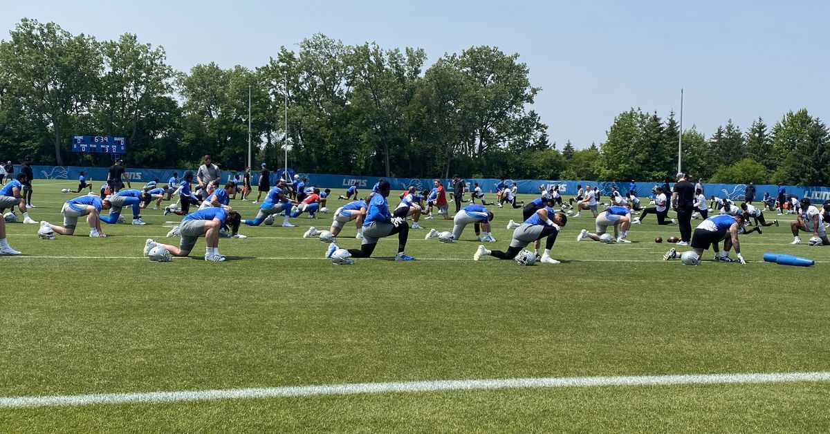 Detroit Lions minicamp Day 3 injury updates, participation report