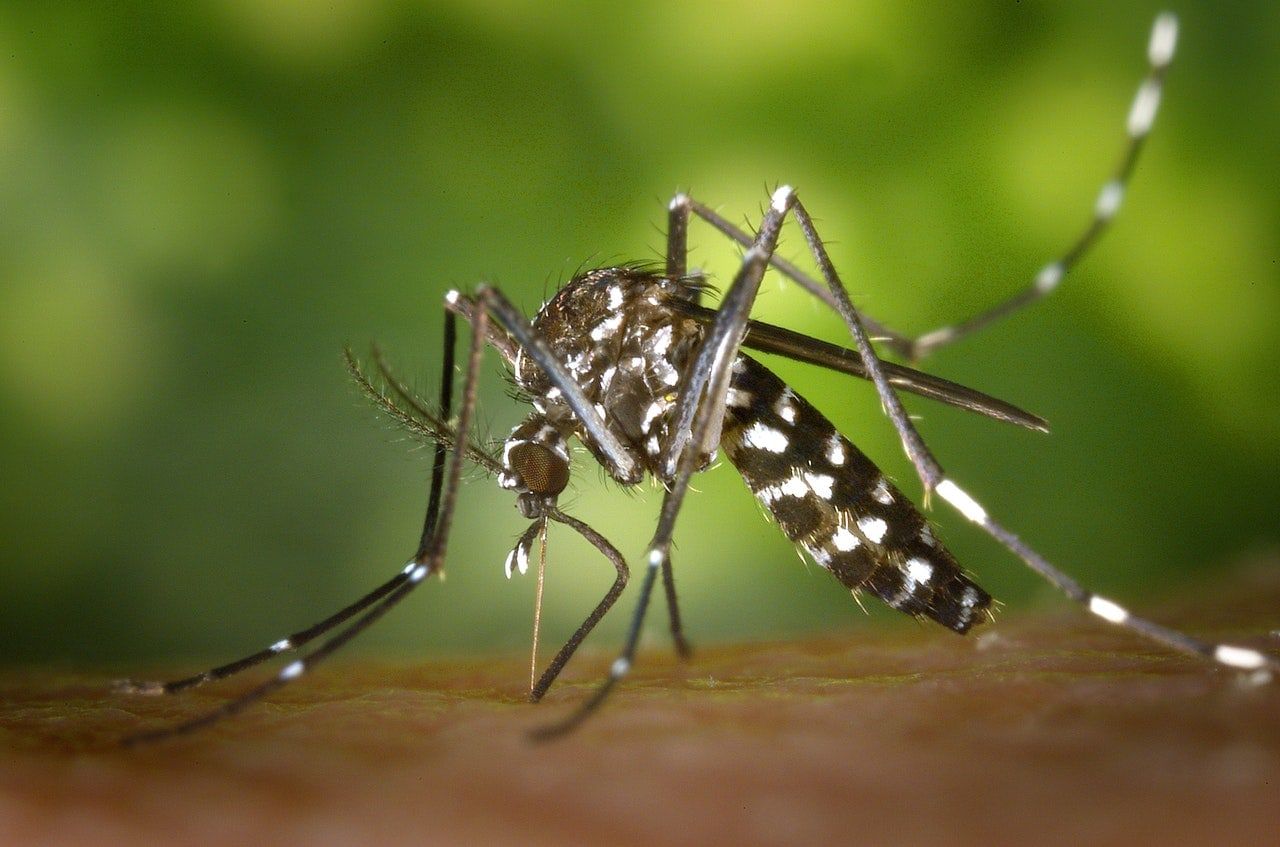 Health department issues warning after mosquitoes test positive for West Nile virus in multiple Lake County towns