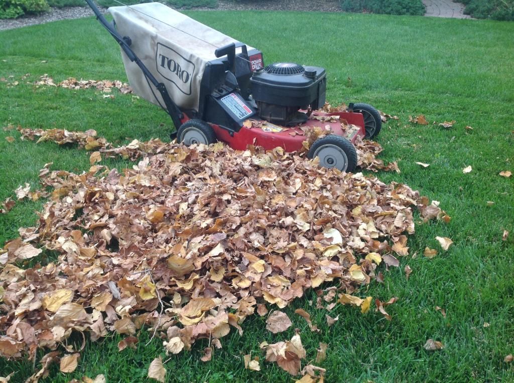 Colorado could ban sale of gas-powered lawn tools on northern Front Range