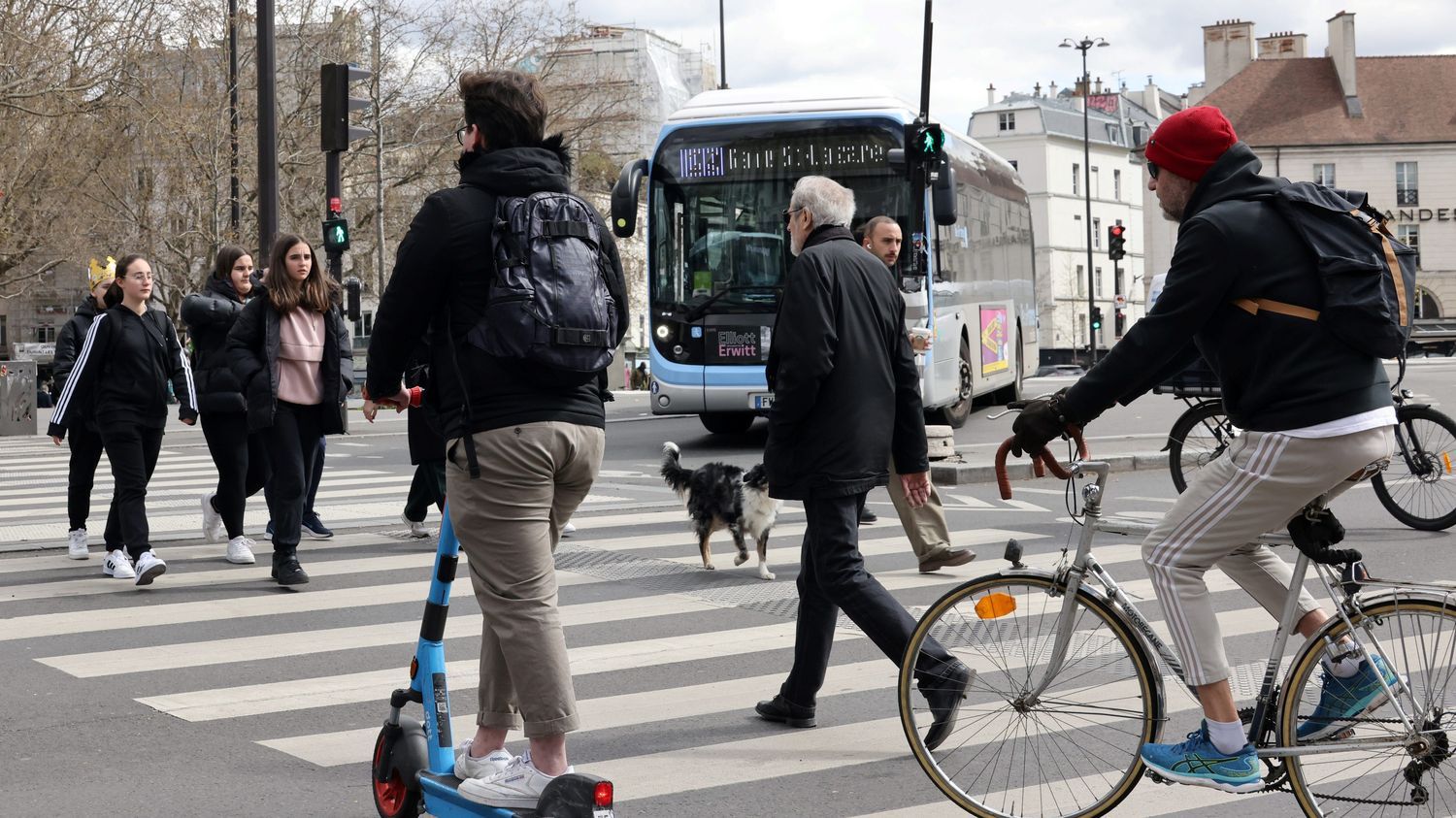 Mobilités : d'après une étude, les accidents de trottinettes électriques provoquent des blessures aussi graves qu'à vélo ou en moto