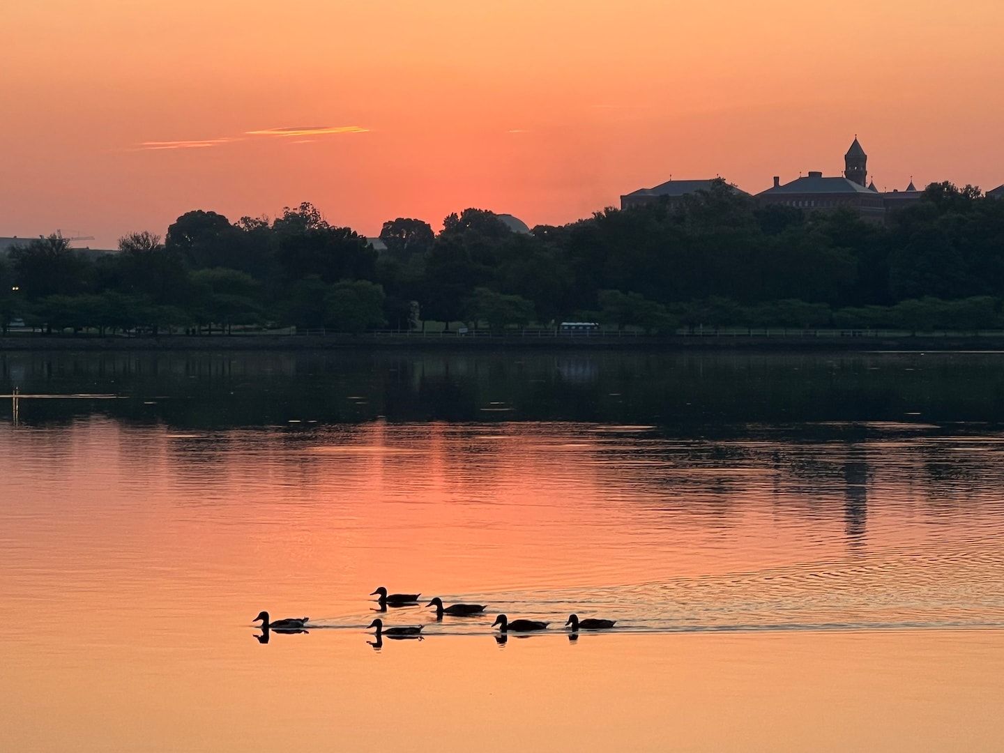 D.C.-area forecast: Modest storm chances today that grow on Sunday