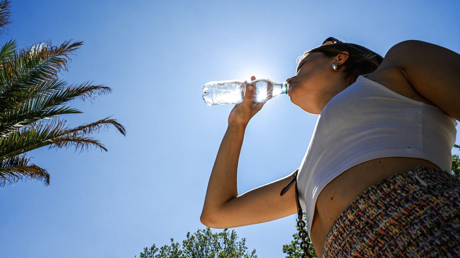 Canicule : "On va avoir plusieurs jours consécutifs de chaleur intense", explique une prévisionniste de Météo France