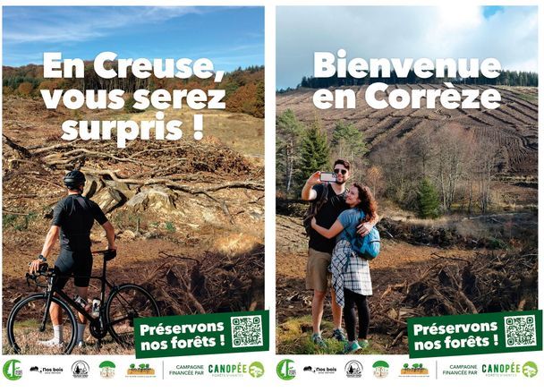 Coupes rases : en Creuse et Corrèze, l'association Canopée montre l'envers du décor à travers une campagne choc