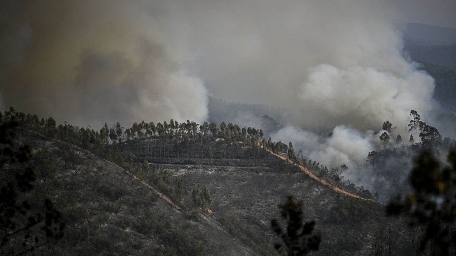 Canicule : la péninsule ibérique est toujours en proie à de violents incendies