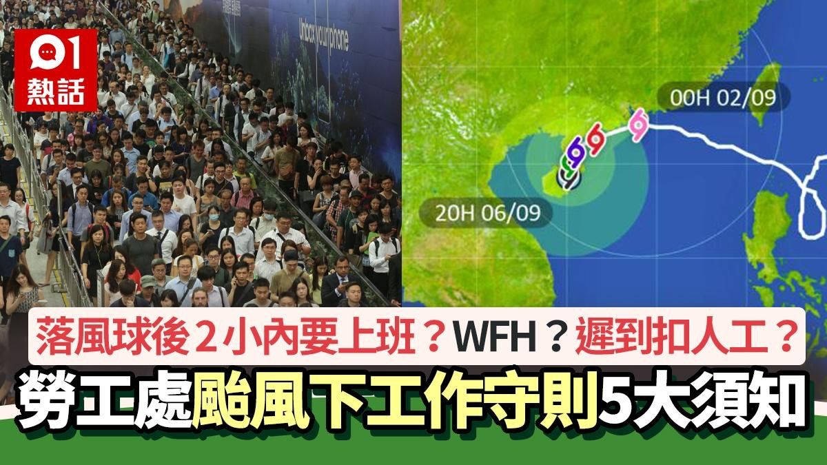 颱風小犬│8號風球維持至… WFH安排說不？放假扣薪？勞工處咁講…