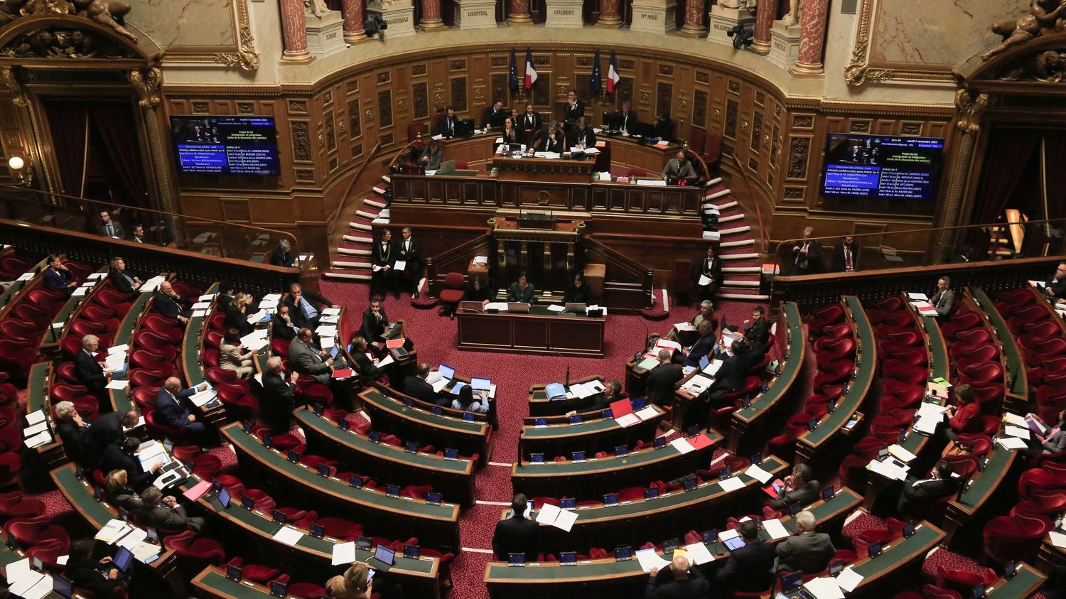 Projet de loi immigration : le Sénat supprime l'article sur la régularisation de travailleurs sans papiers dans les "métiers en tension"