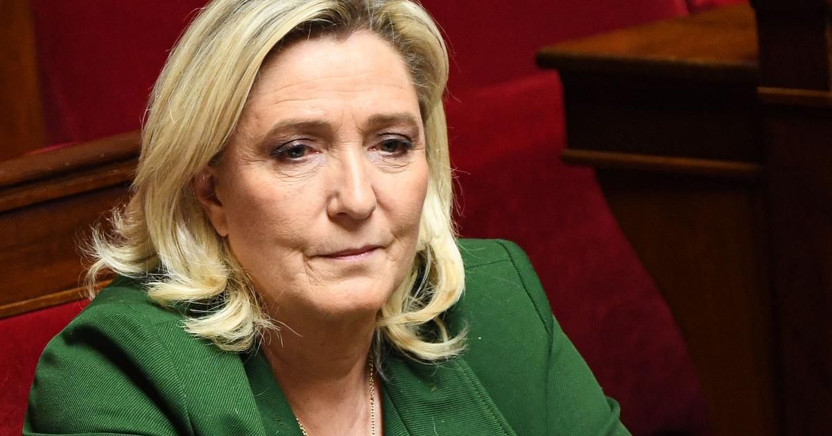 Manifestation d'ultradroite à Paris : Le Pen condamne des "provocations inadmissibles"