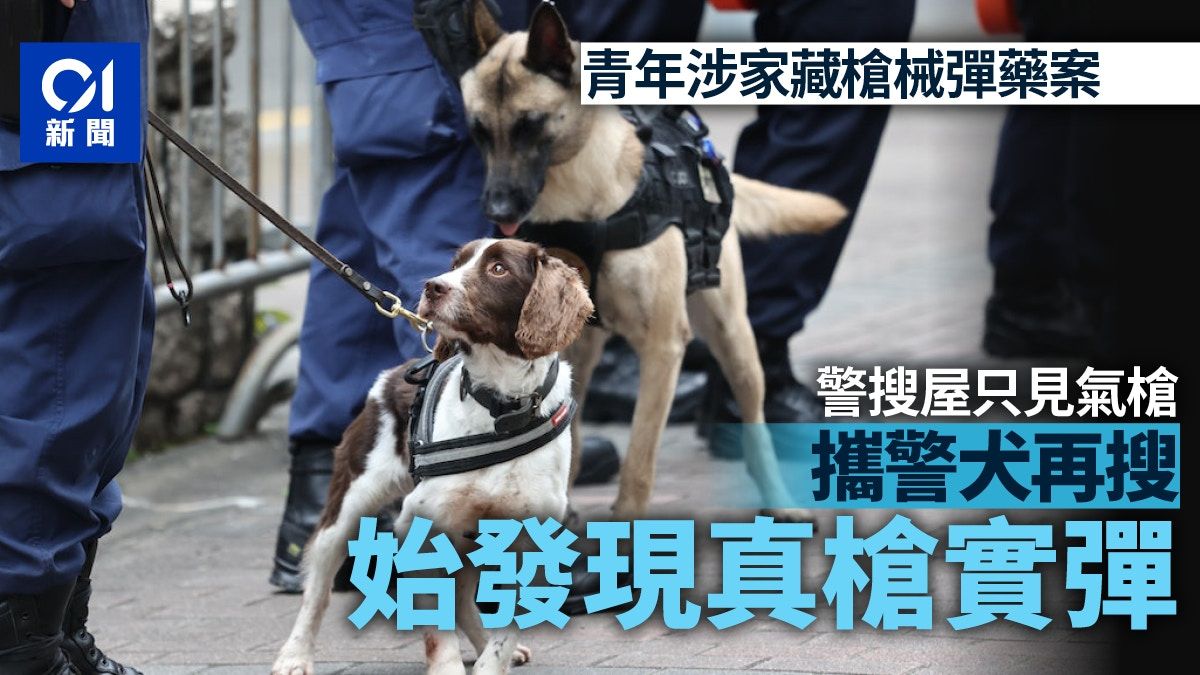 青年涉家藏槍械彈藥 警搜屋只見氣槍 搜索犬再找發現真槍及子彈