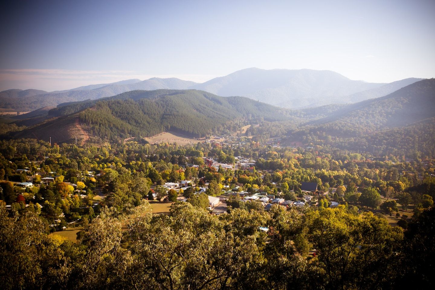 Lost woman survives 5 days in the wild on a bottle of wine