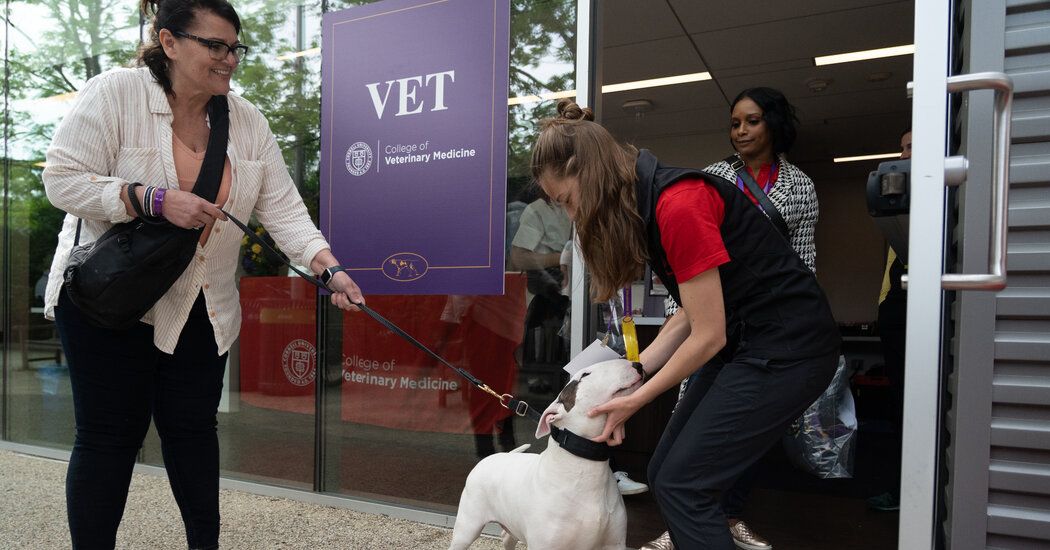 Westminster Dog Show