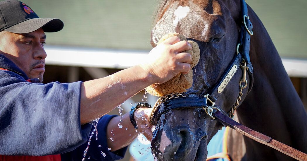 Forte, Once the Derby Favorite, Failed a Drug Test in September