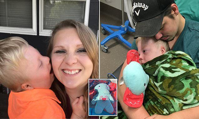 Family desperate for help to find toy elephant that had their son's ashes in it