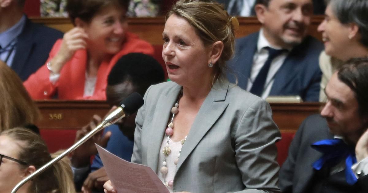 Détournement de frais de mandat : l'ex-députée Anne-Christine Lang condamnée à 60.000 euros d'amende