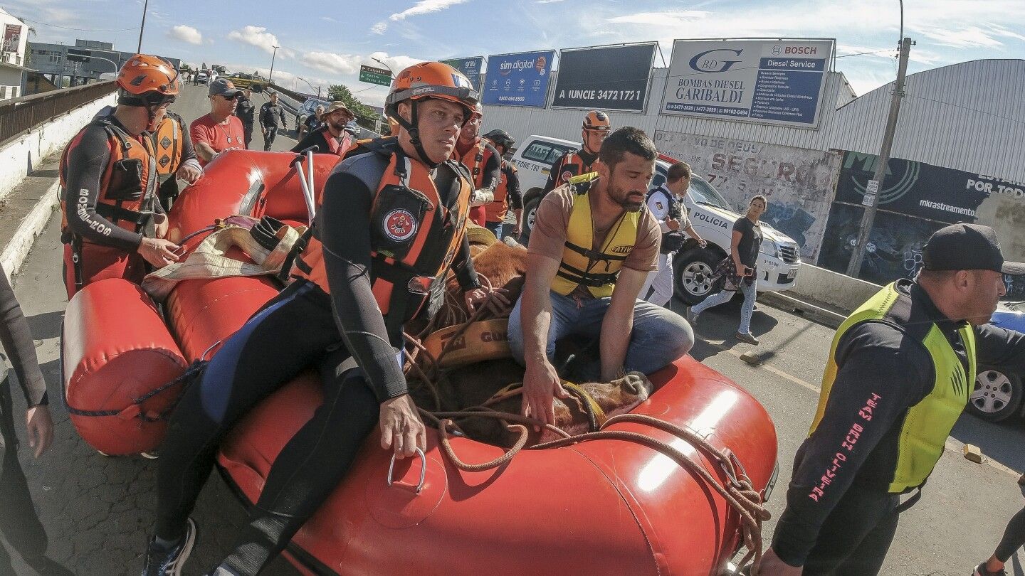 'Caramelo,' the Brazilian horse stranded on a roof by floods, is rescued after stirring the nation