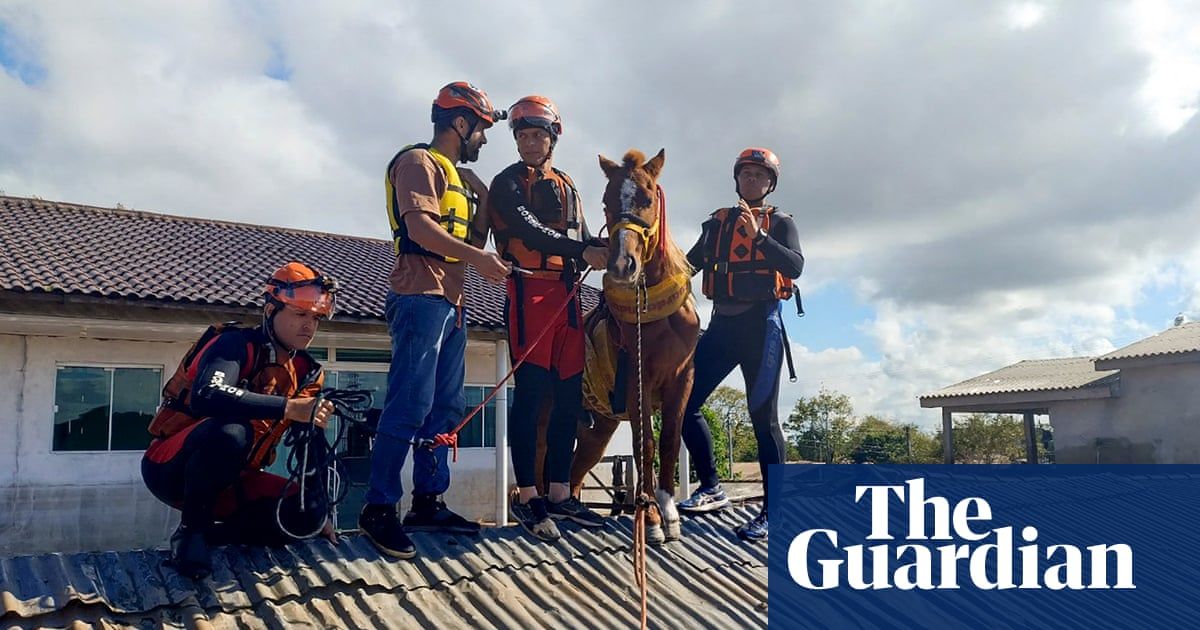 Brazil floods: horse stranded on roof is rescued as death toll rises to 107 people