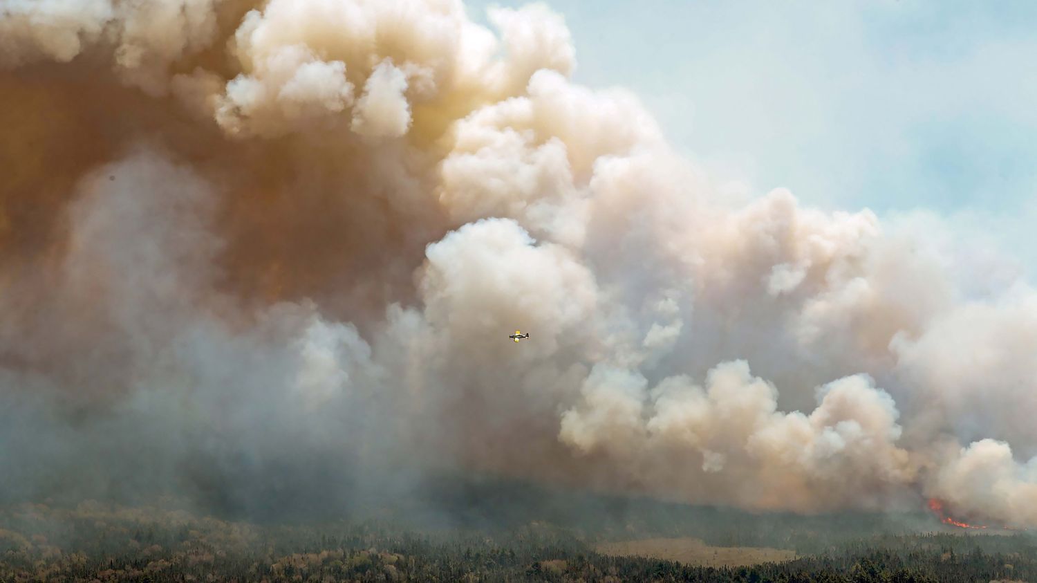 Incendies au Canada : "Le nombre de grands feux va augmenter", avertit une spécialiste