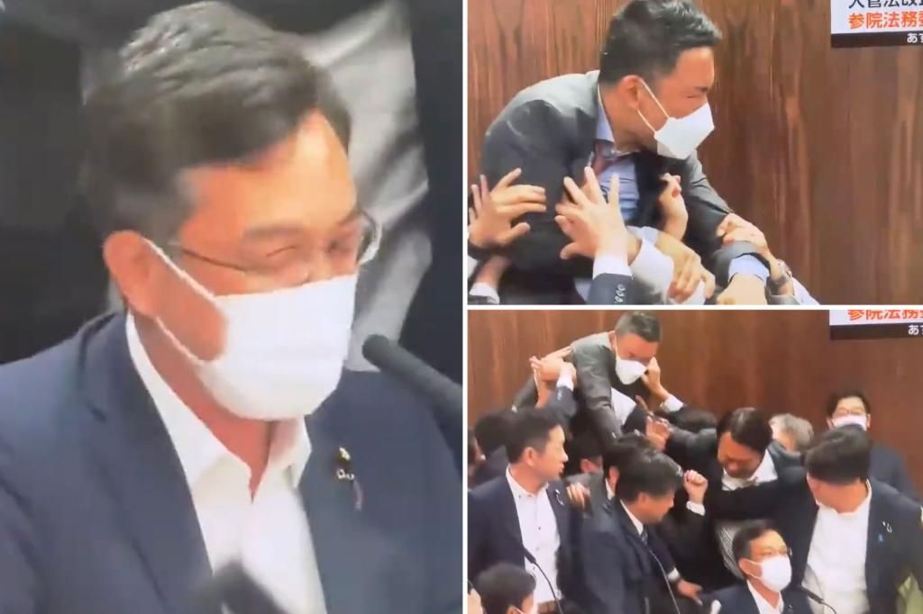 Chaos erupts inside Japan's parliament as lawmakers brawl over refugee bill