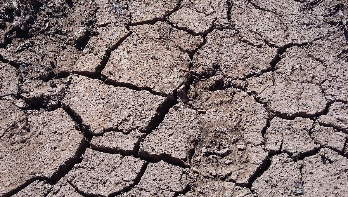 Sécheresse en Indre-et-Loire : des restrictions d'eau renforcées dans plusieurs communes