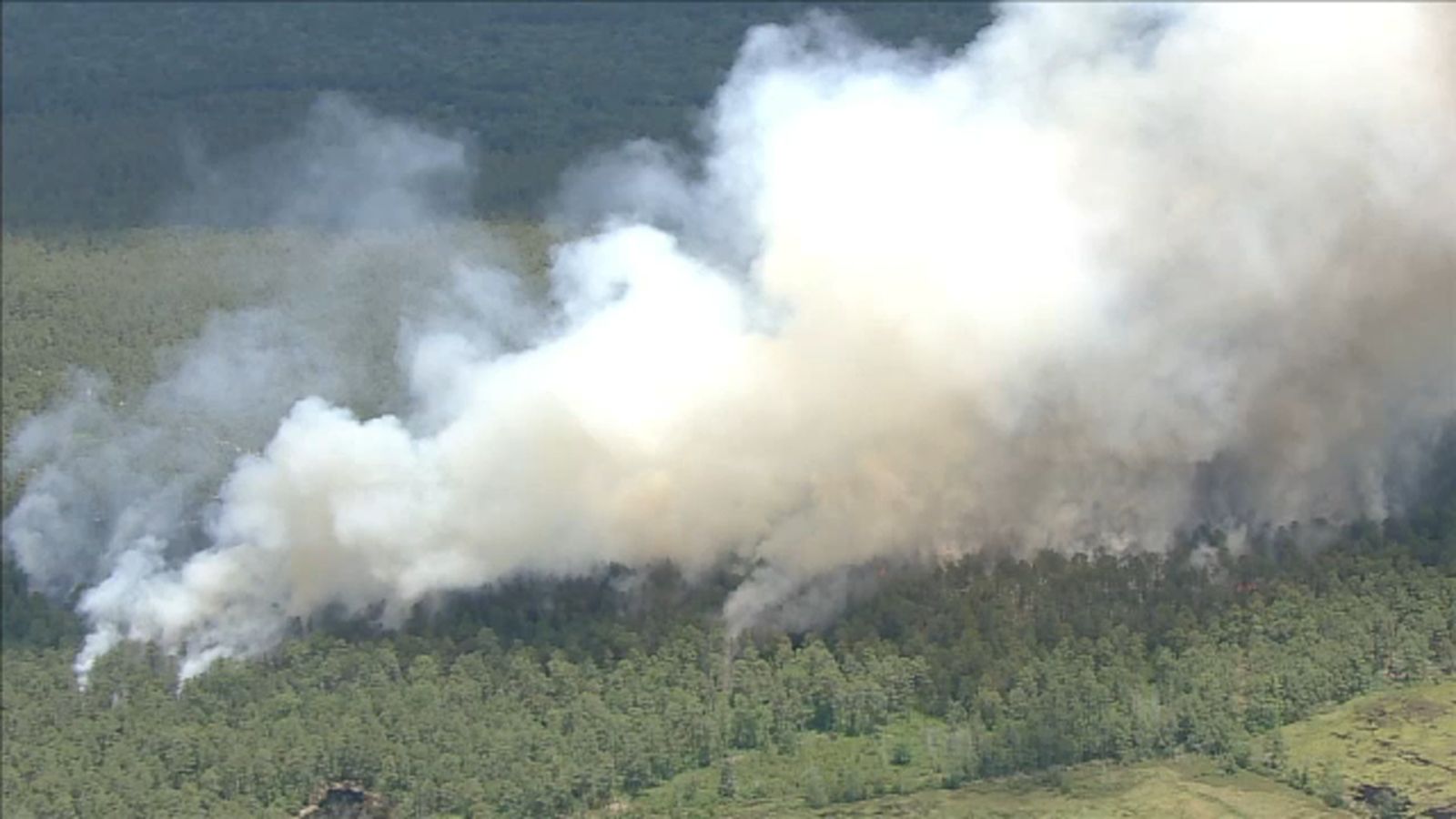 Wildfire burning in Browns Mills, New Jersey