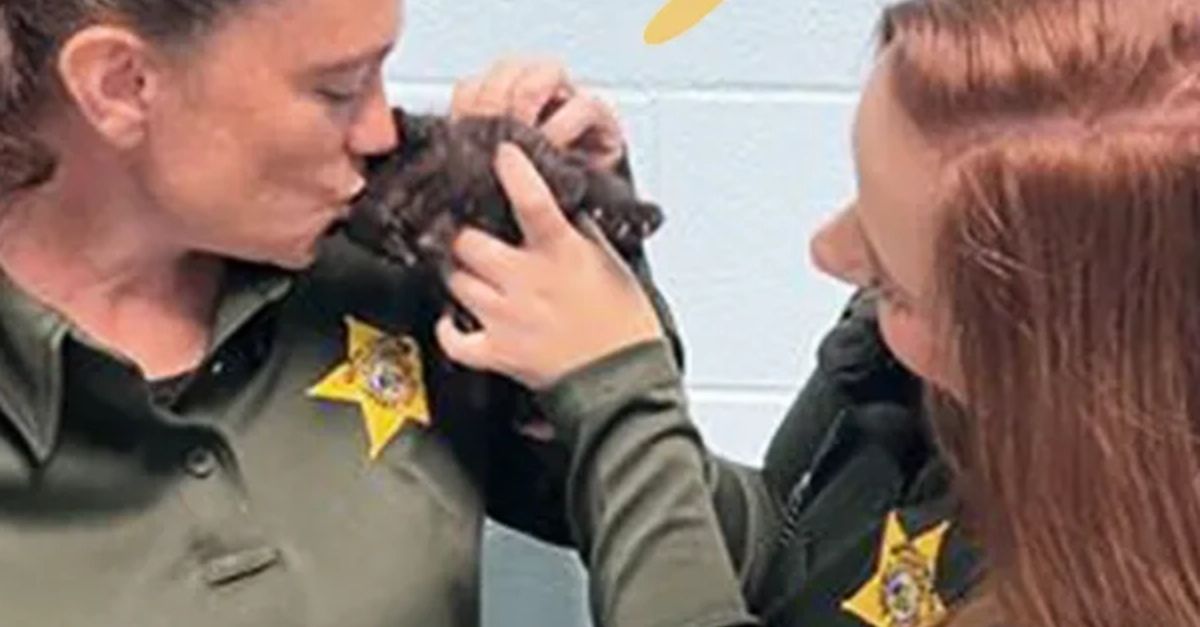 Le récit inspirant de 2 femmes et leur mission pour sauver un adorable chaton coincé sous un camping car