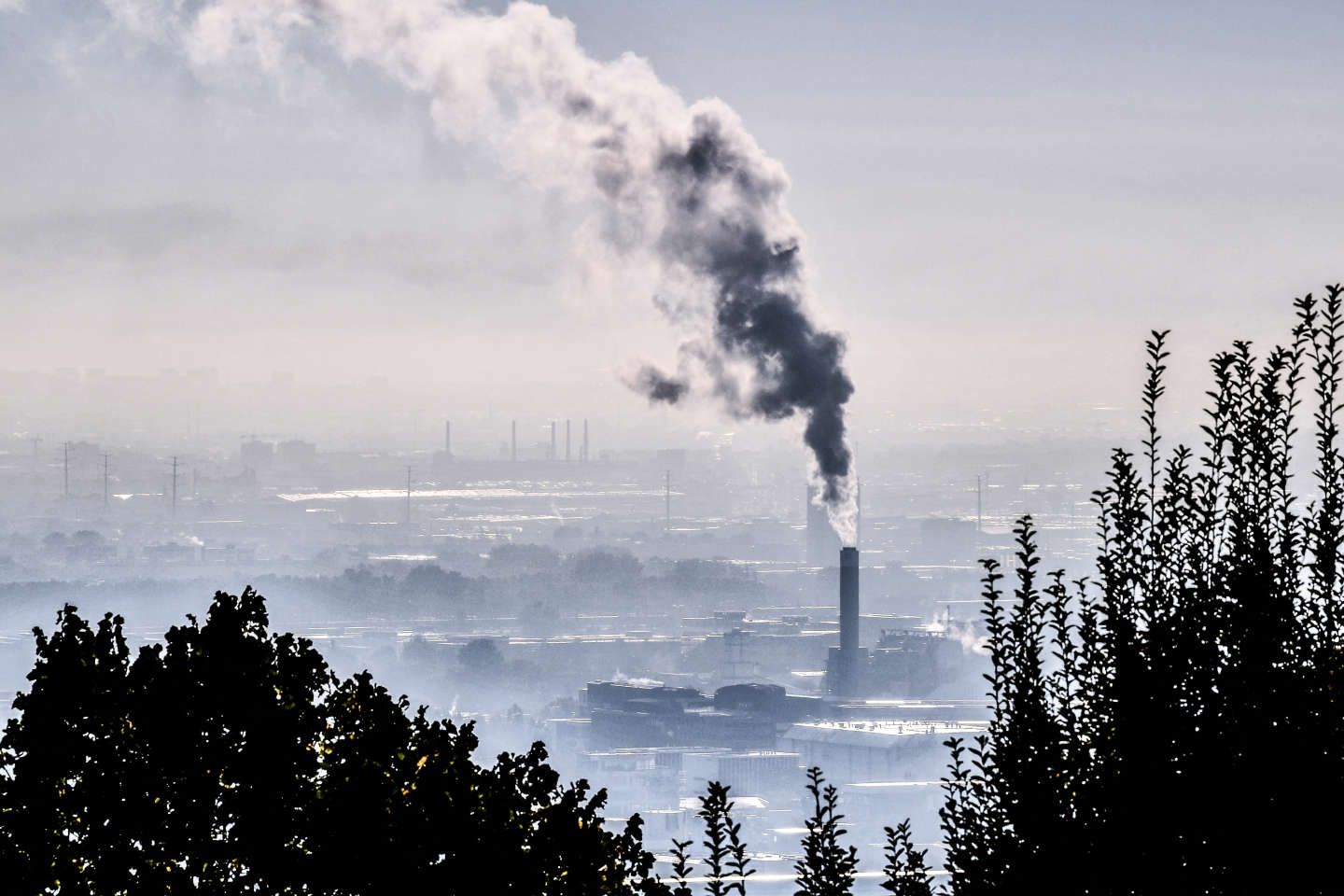 " Inaction climatique " : le Conseil d’Etat lance un nouvel ultimatum au gouvernement