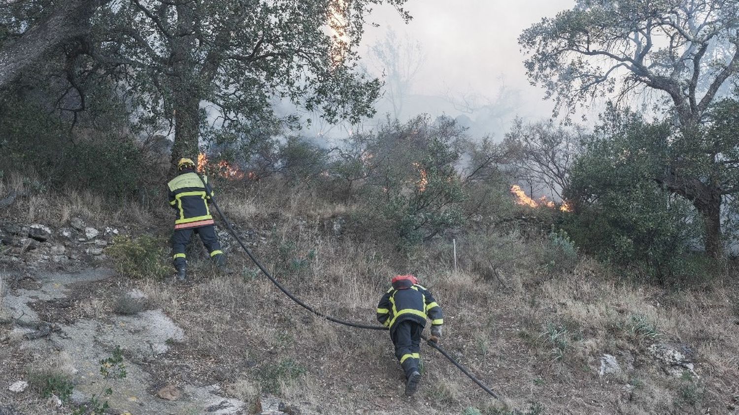 Pyrénées-Orientales : les deux incendies sont désormais "circonscrits et maîtrisés", selon le conseil départemental