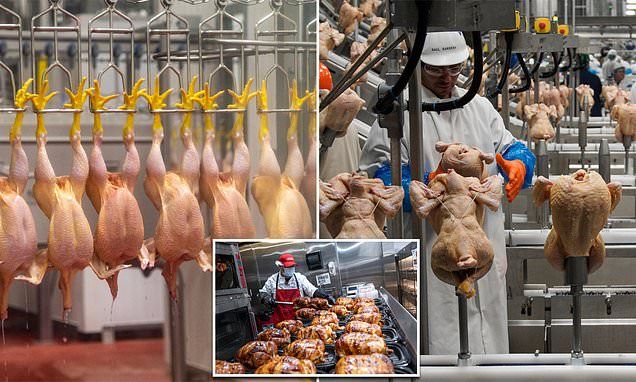 Costco has spent $1 BILLION building enormous Nebraska poultry farm