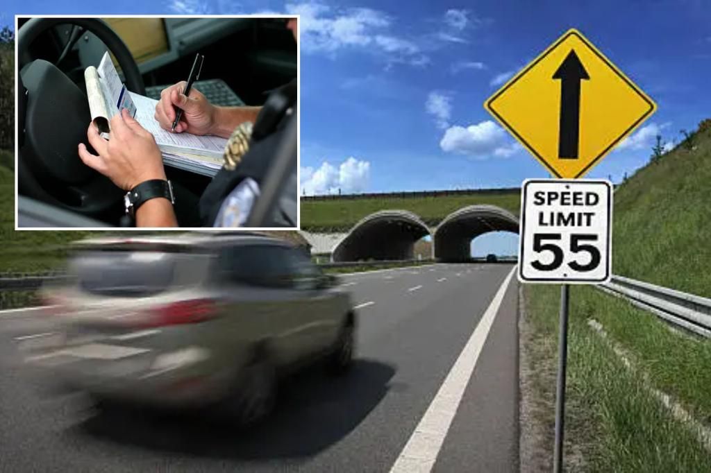 Driver slapped with $130K speeding fine