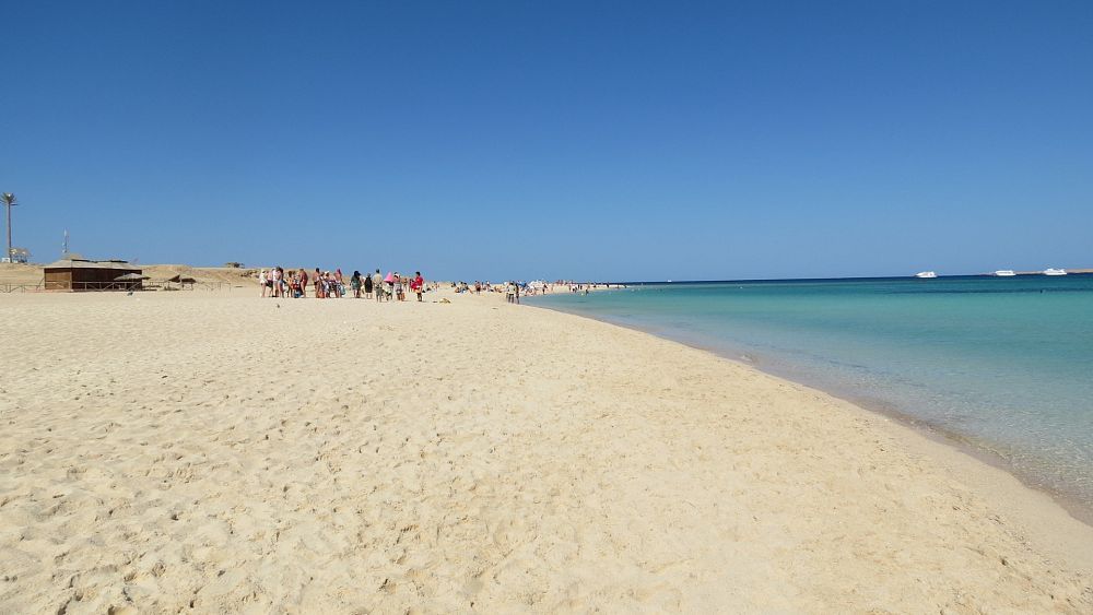 Attaque de requins en Égypte : ces accidents sont-ils fréquents dans la mer Rouge ?