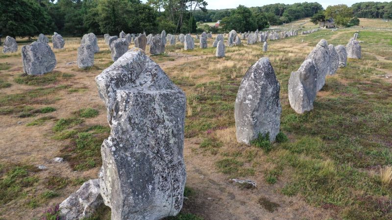 Ancient stones removed in France to build new hardware store