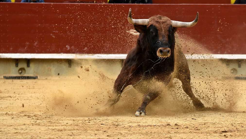 Dow Jones Futures Fall: Can Bulls Break Above Resistance? 10 Stocks To Watch