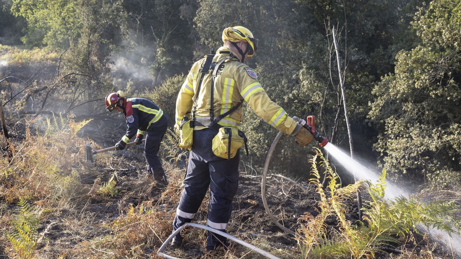 Incendies : la Fédération Nationale des sapeurs-pompiers craint que les moyens supplémentaires "ne suffisent pas"