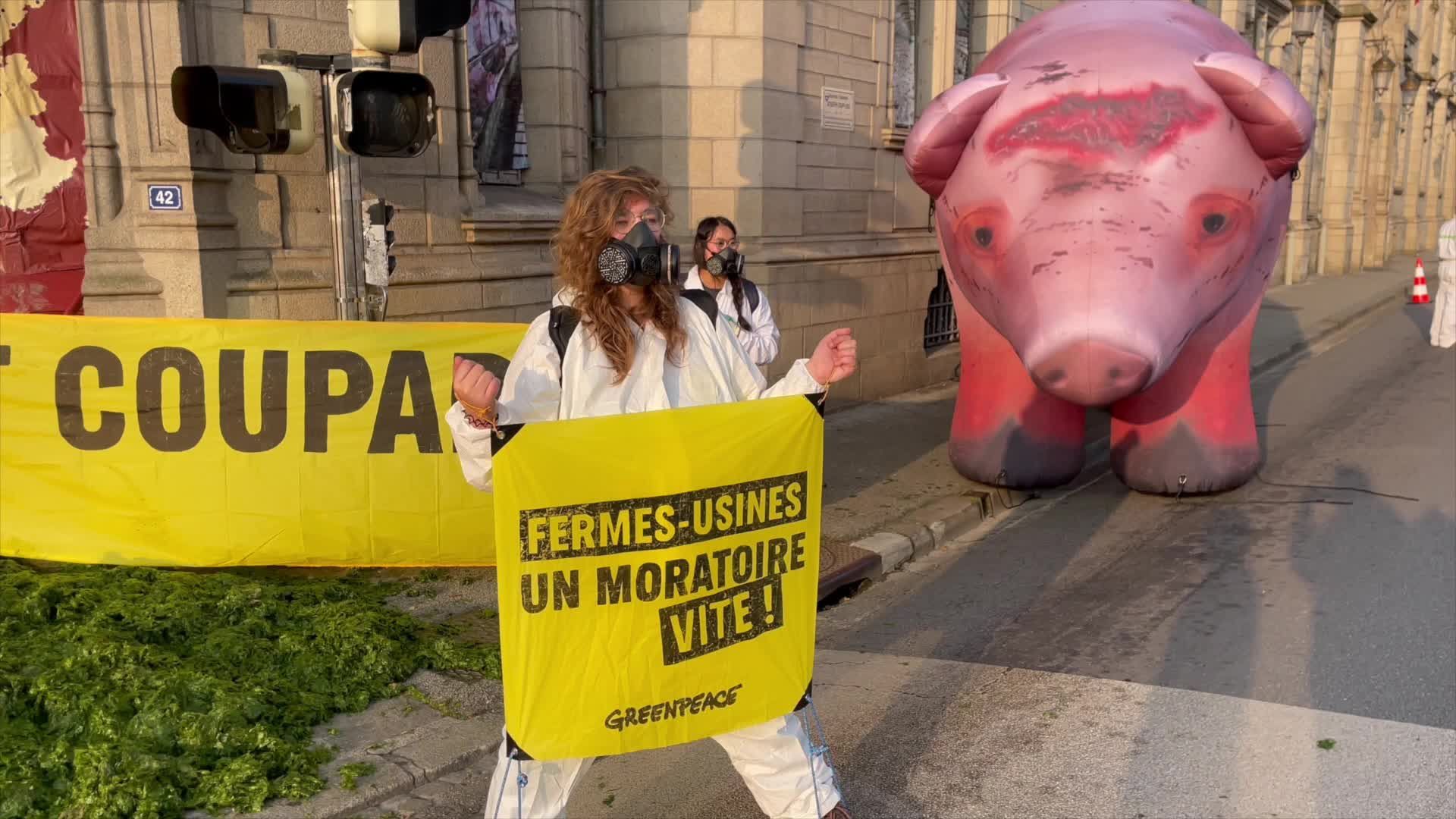 À Quimper, une tonne d’algues vertes déversée devant la préfecture contre l’élevage intensif [Vidéo]