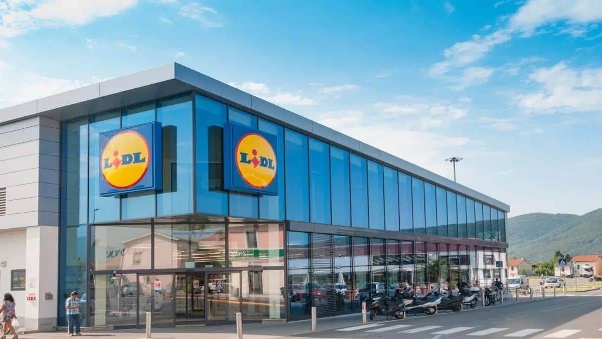 Lidl frappe fort avec ses nouveaux stores à prix mini pour se protéger du soleil et des regards indiscrets !